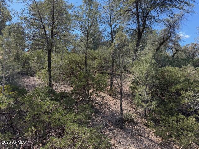 704 South Prestwick, Unit 140 Payson, AZ 85541 - Photo 59 of 59 a view of a forest with trees in the background