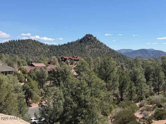 704 South Prestwick, Unit 140 Payson, AZ 85541 - Photo 6 of 59 IMG_0049