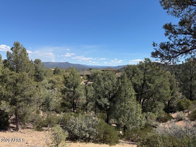 704 South Prestwick, Unit 140 Payson, AZ 85541 - Photo 8 of 59 a view of a forest with a tree