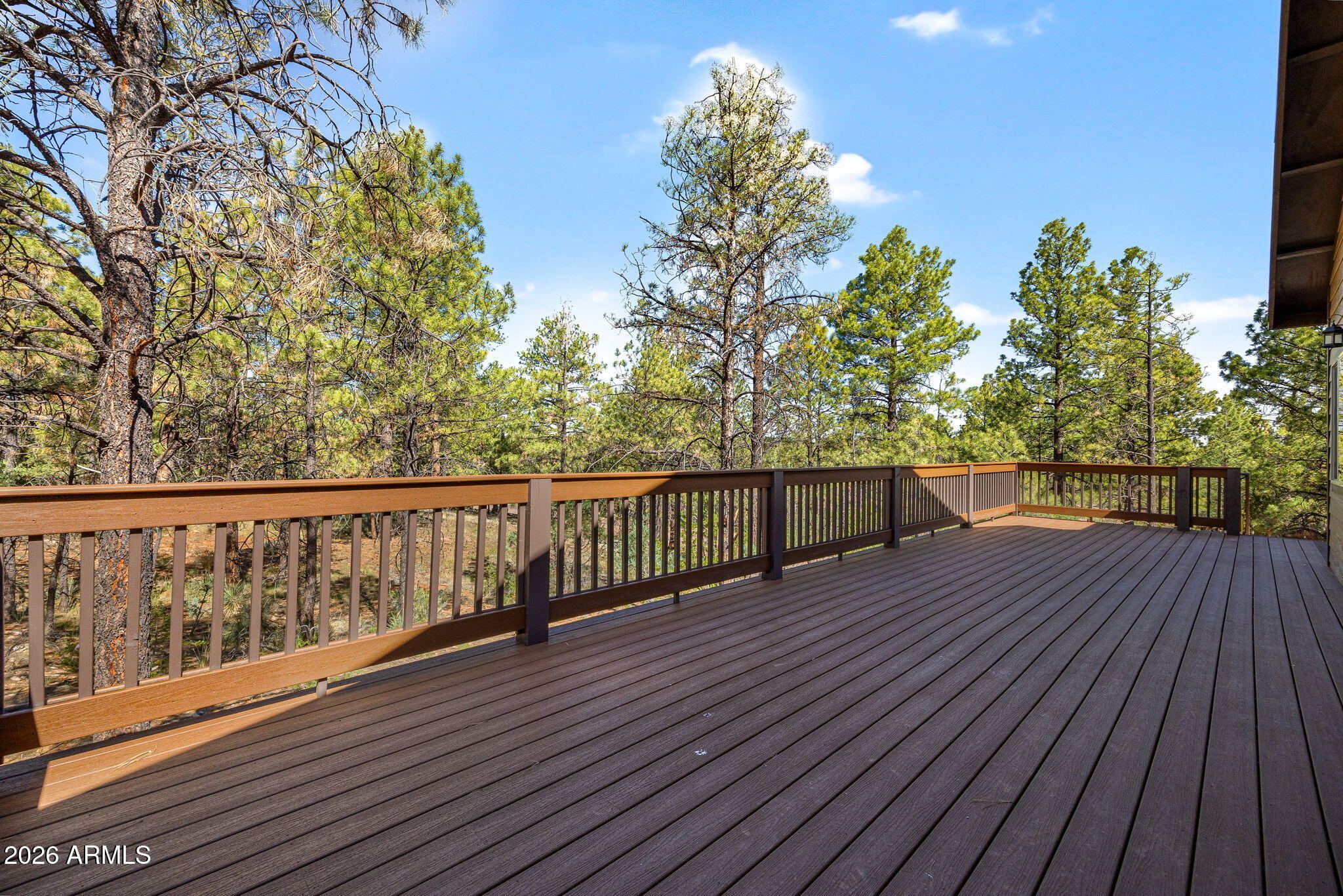 2273 Constellation Circle Overgaard, AZ 85933 - Photo 27 of 35