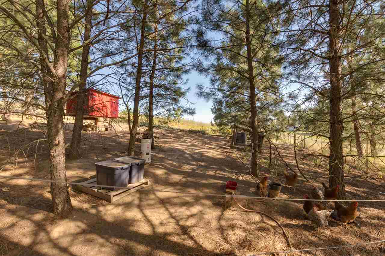 3515 North Brooks Road Medical Lake, WA 99022 - Photo 17 of 20 Gallery Image 17
