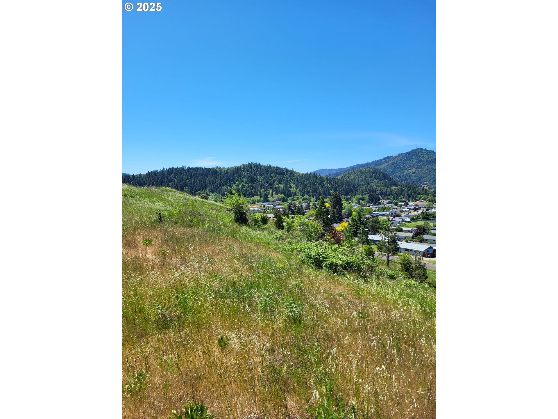 0 Northeast Simpson Lane Myrtle Creek, OR 97457 - Photo 3 of 4