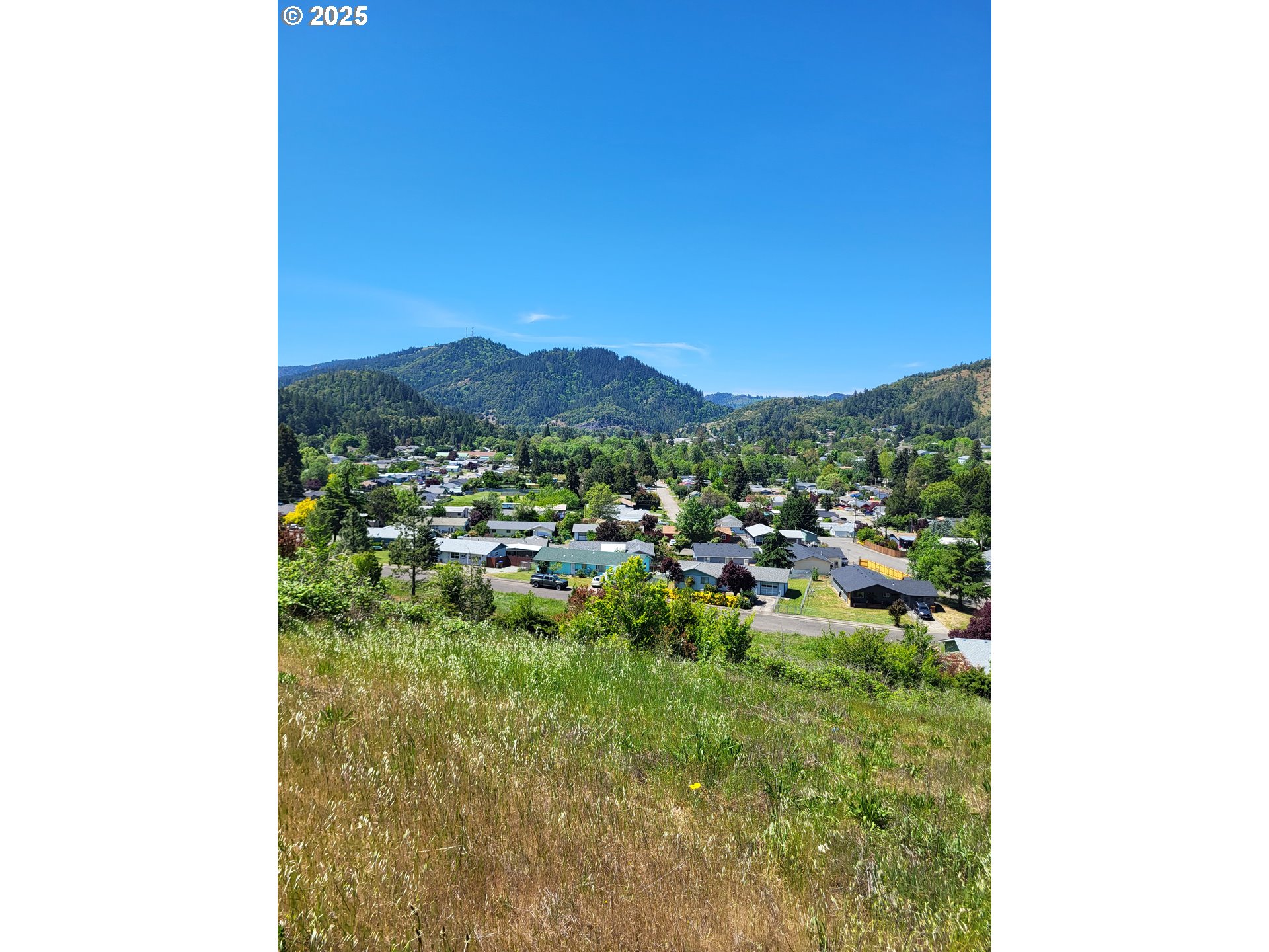 0 Northeast Simpson Lane Myrtle Creek, OR 97457 - Photo 4 of 4