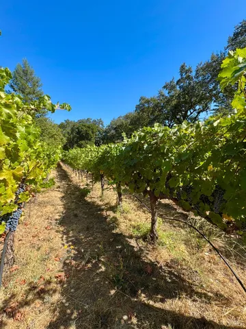 $1,995,000 | 109 Glass Mountain Lane, St. Helena, CA 94574