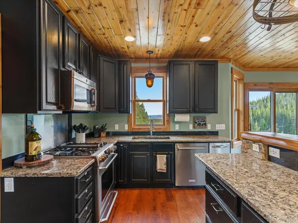 $1,455,000 | 20 Silk Sisters Place, Fairplay, CO 80440