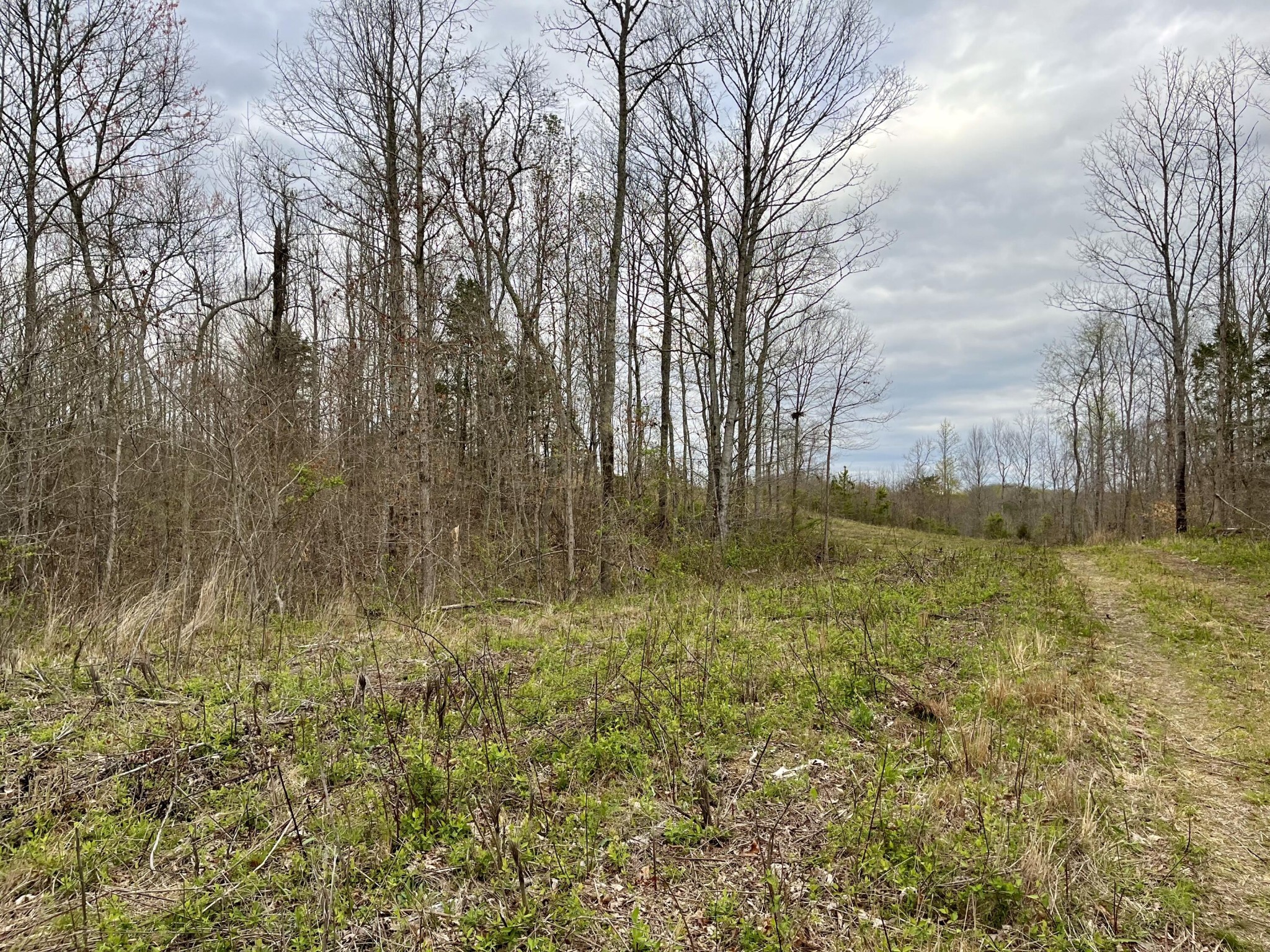 4 County Road 188 Decatur, TN 37322 - Photo 4 of 16 Gallery Image 4