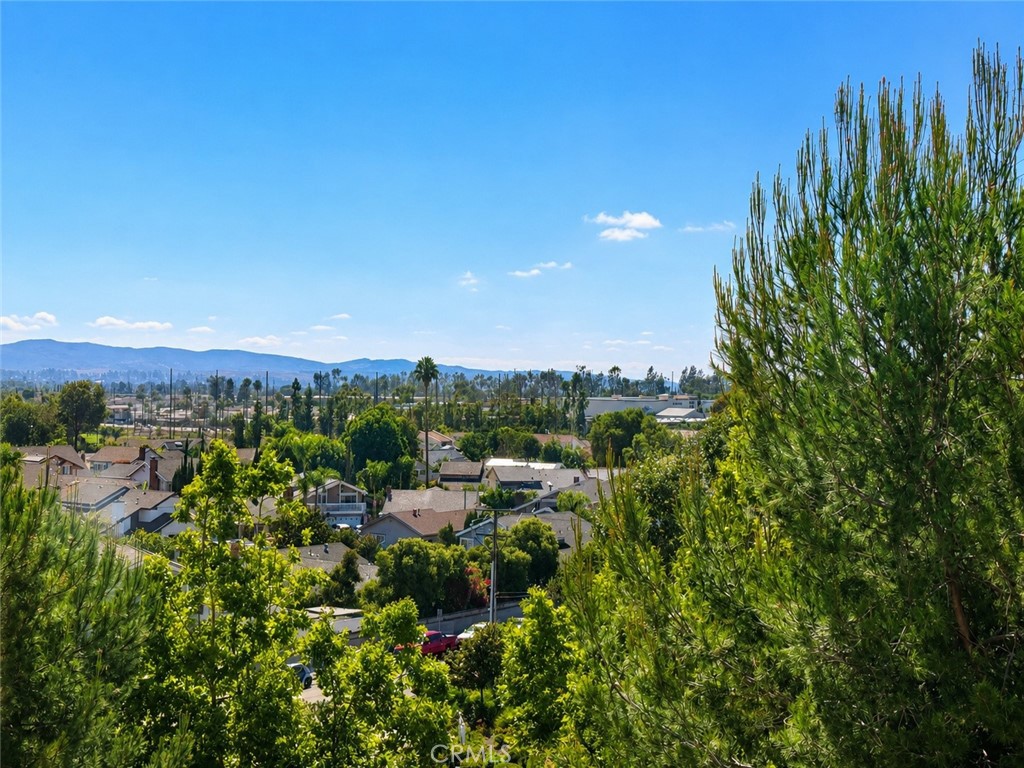 47 Aliso Ridge Loop Mission Viejo, CA 92691 - Photo 3 of 51 View from the living room window