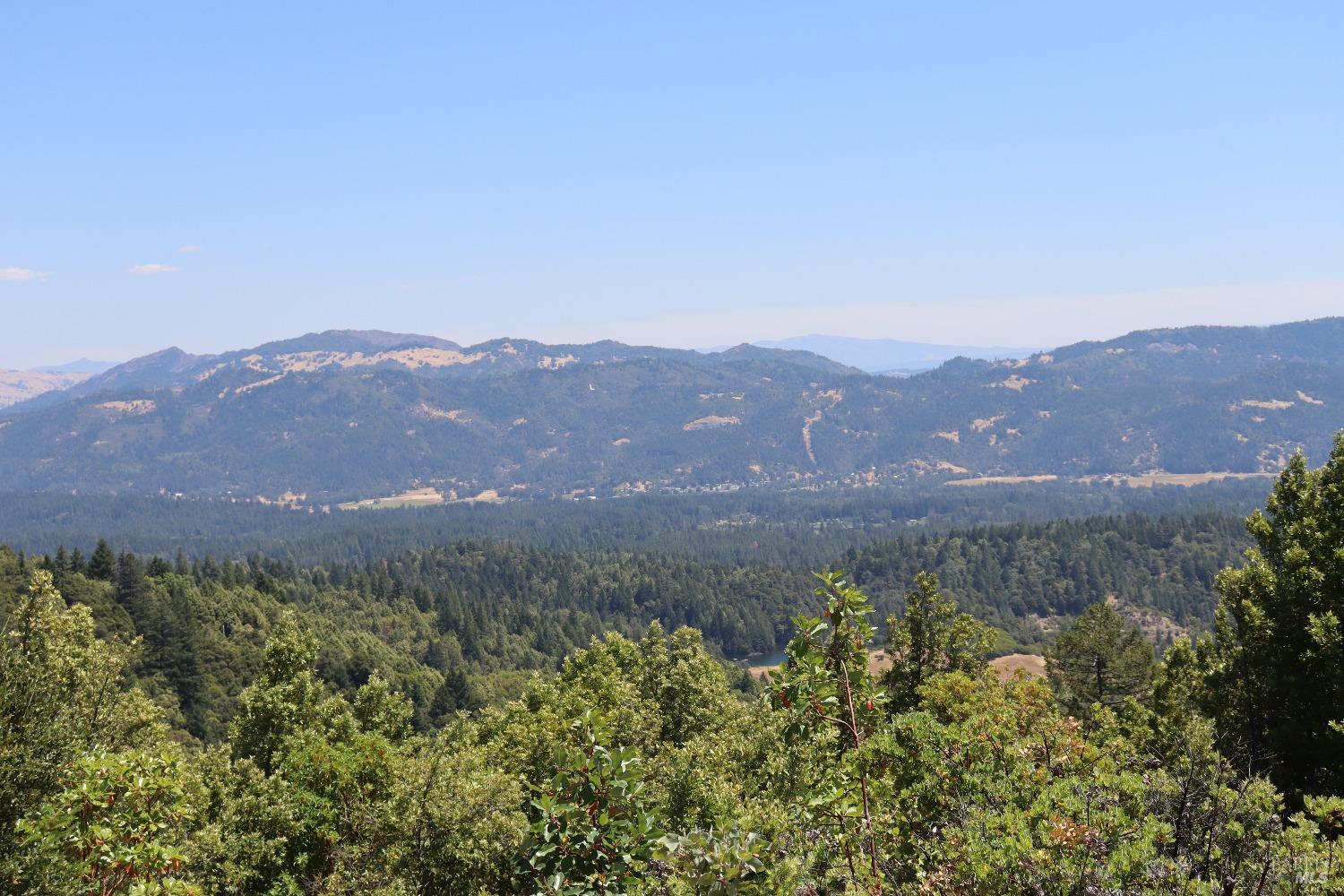 an aerial view of mountain with residential trees