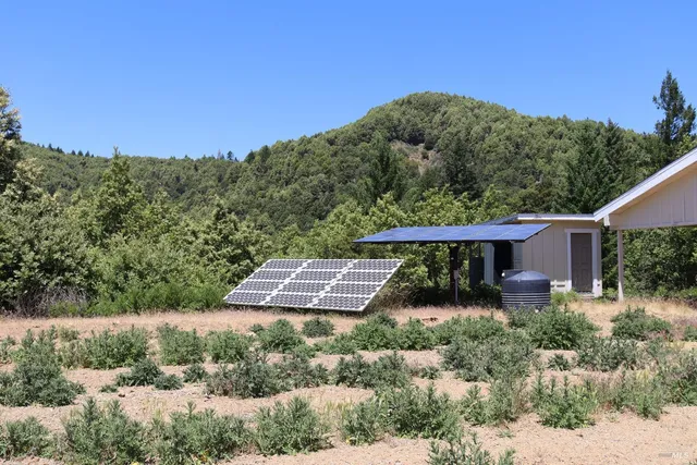 a view of a small yard with a tree