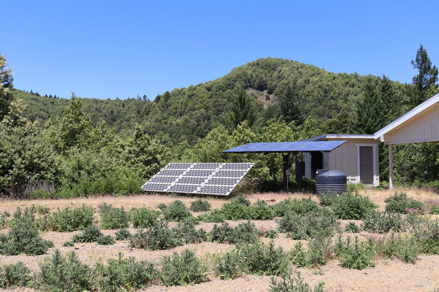 4240 Cahto Peak Road Laytonville, CA 95454 - Photo 3 of 9 a view of a small yard with a tree