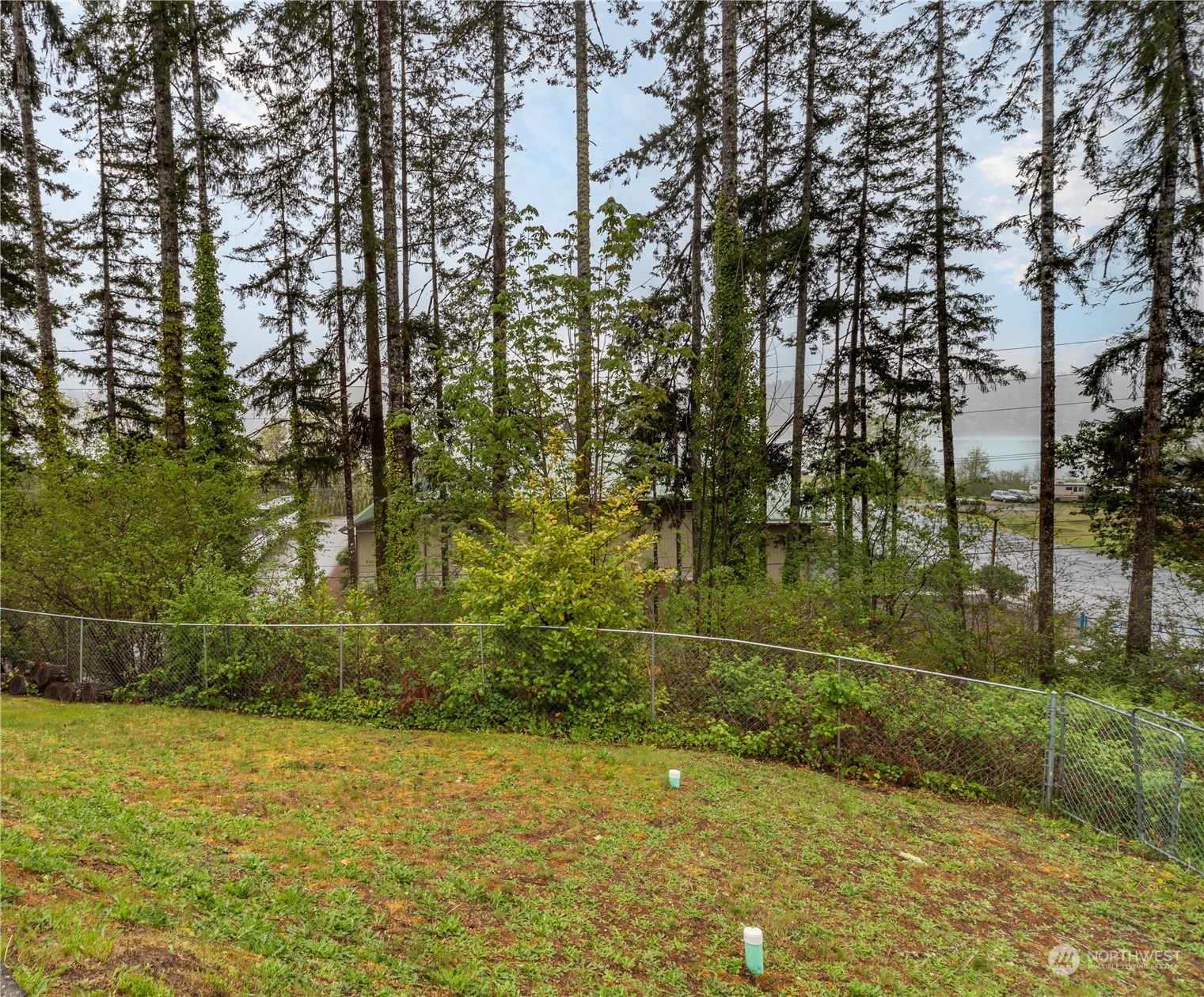 112 Northeast Larson Lake Road Belfair, WA 98528 - Photo 19 of 20 Gallery Image 19