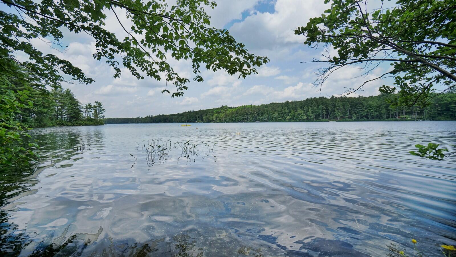 65 Oscar Littlefield Road Lyman, ME 04002 - Photo 4 of 51 65 Oscar Littlefield (22)