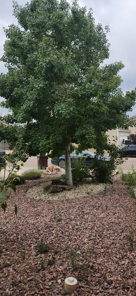 5148 Goldking Road Pueblo, CO 81008 - Photo 31 of 40 Gallery Image 31