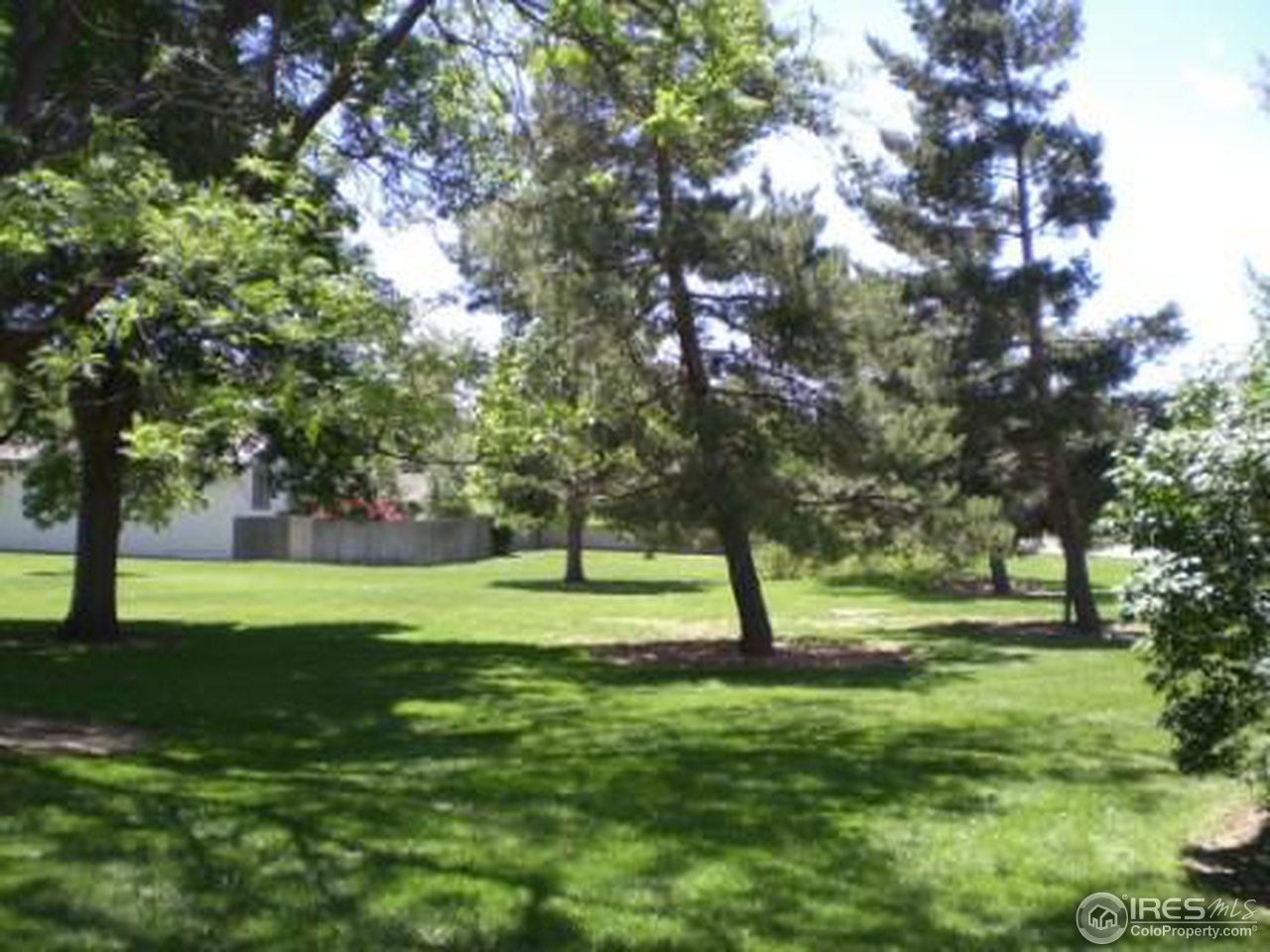 705 East Drake Road, Unit 6 Fort Collins, CO 80525 - Photo 3 of 10 Gallery Image 3