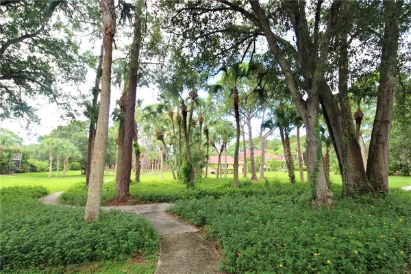 a view of a park with large trees
