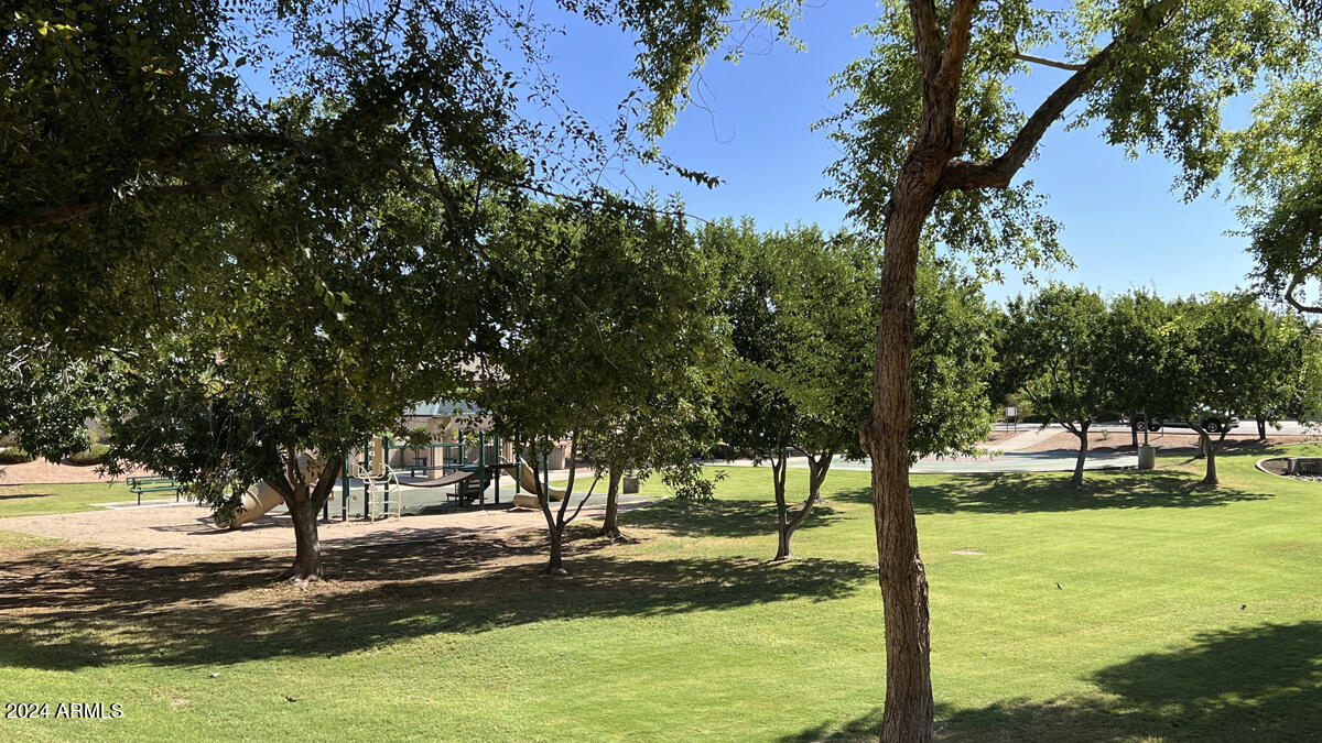 1759 South Rome Street Gilbert, AZ 85295 - Photo 27 of 32 park behind the house 2