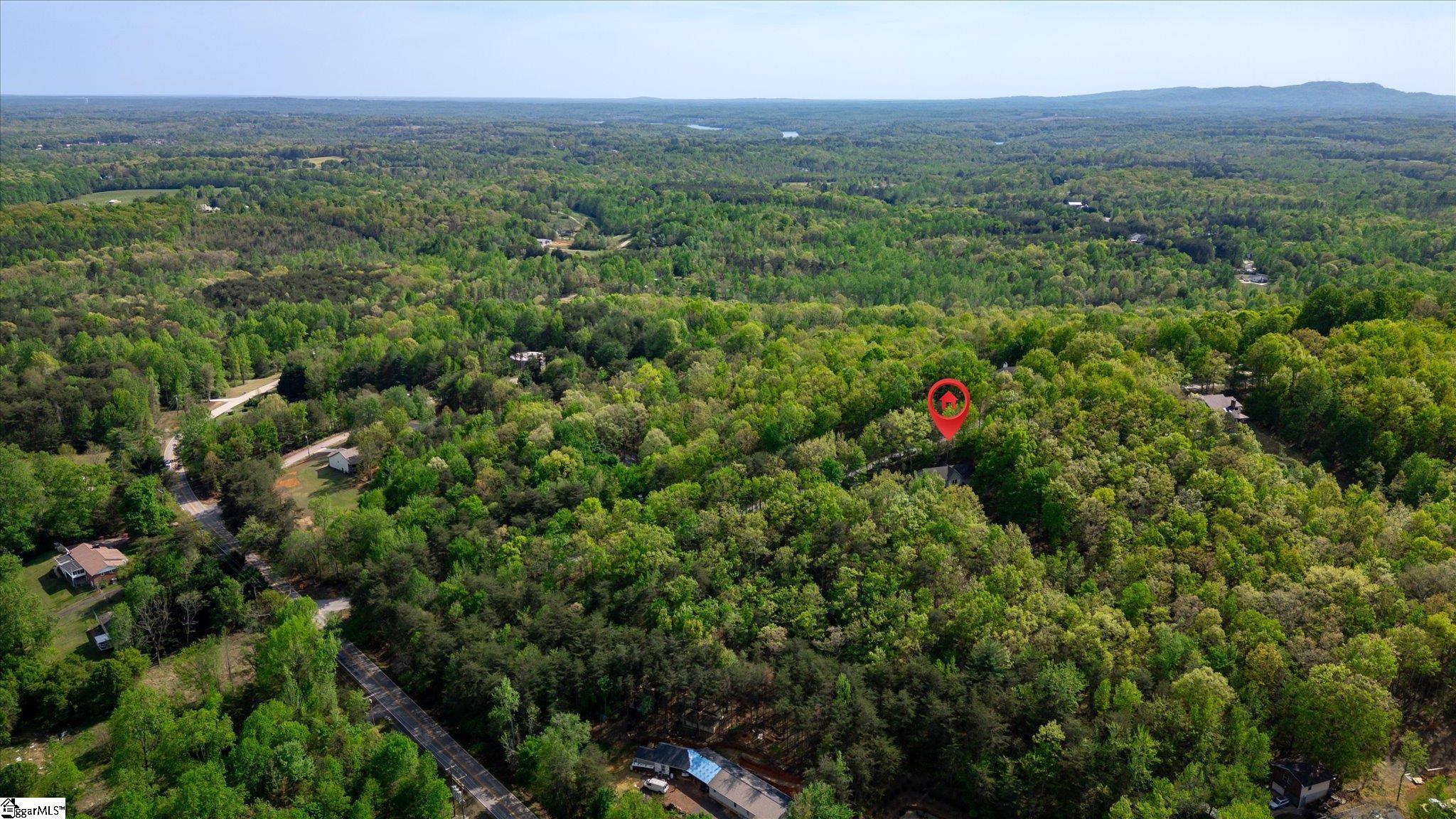 120 Packs Mountain Ridge Road Taylors, SC 29687 - Photo 5 of 43