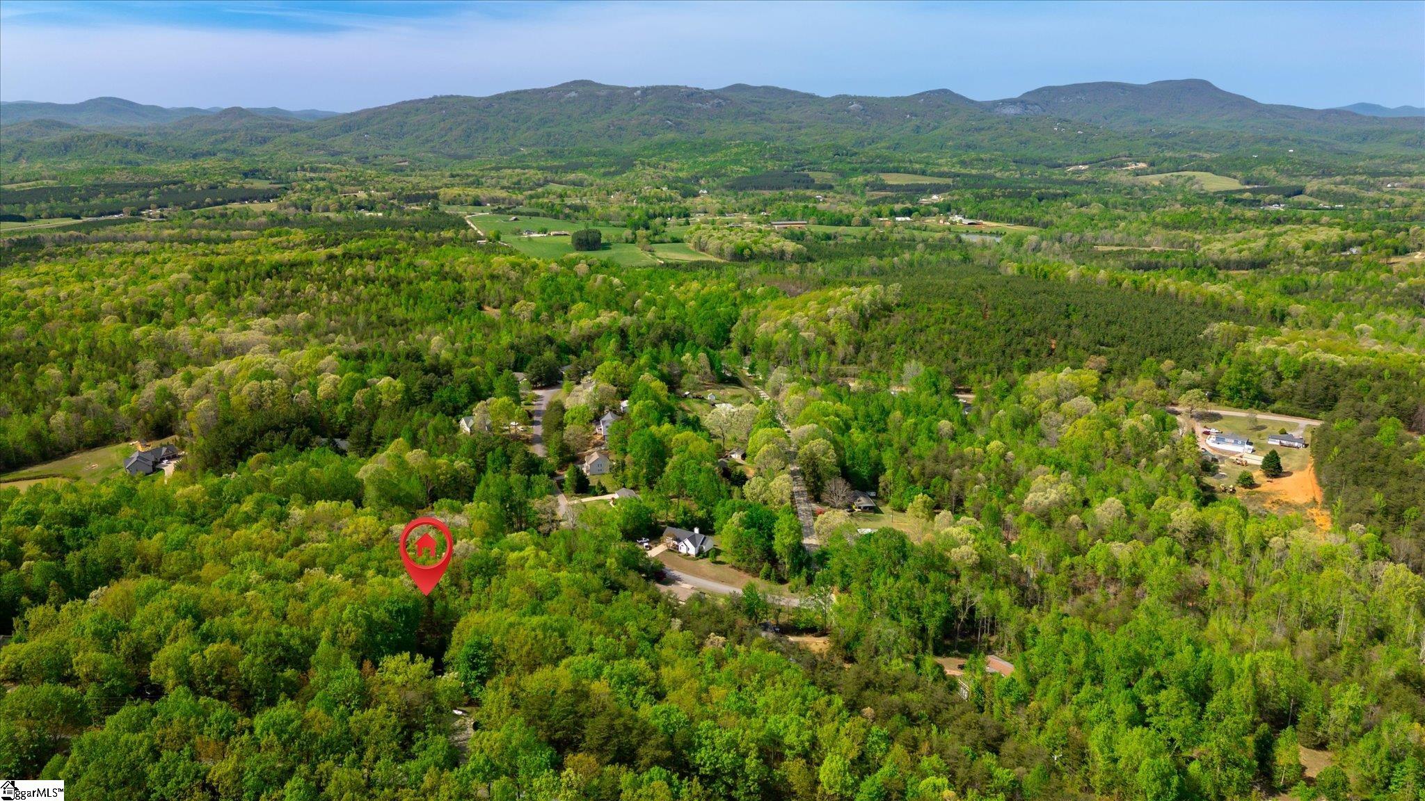 120 Packs Mountain Ridge Road Taylors, SC 29687 - Photo 6 of 43