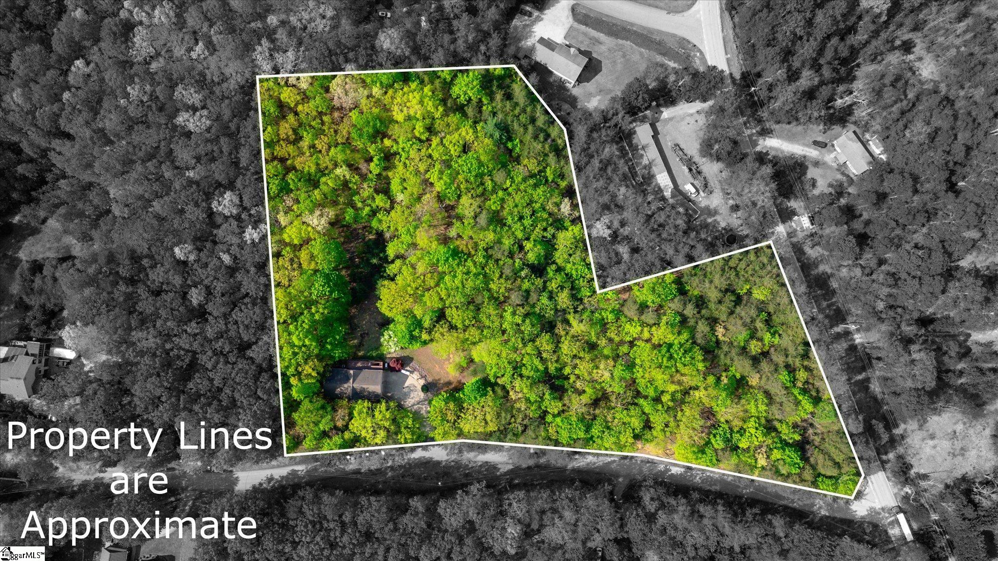 120 Packs Mountain Ridge Road Taylors, SC 29687 - Photo 8 of 43