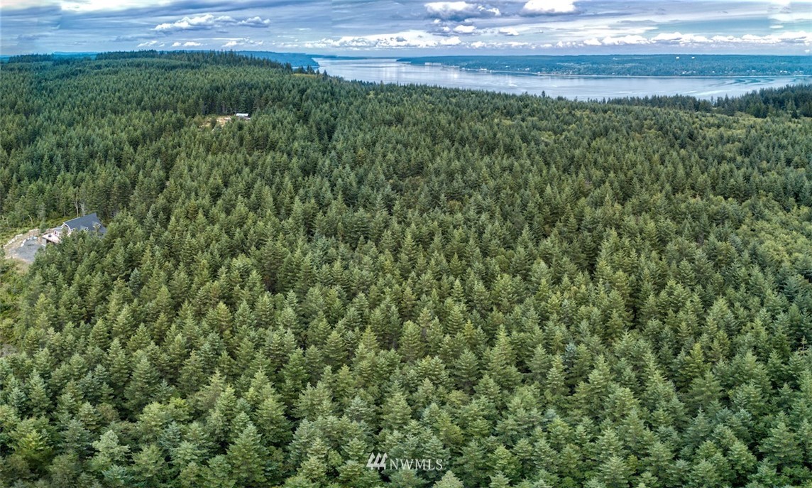 671 Hazel Point Road Quilcene, WA 98376 - Photo 14 of 29 Gallery Image 14