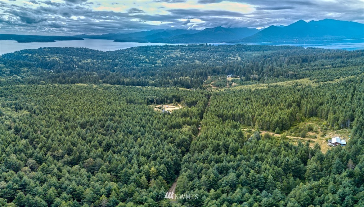 671 Hazel Point Road Quilcene, WA 98376 - Photo 22 of 29 Gallery Image 22