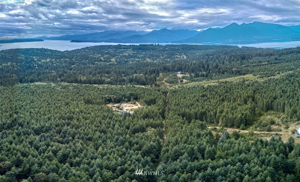 671 Hazel Point Road Quilcene, WA 98376 - Photo 23 of 29 Gallery Image 23