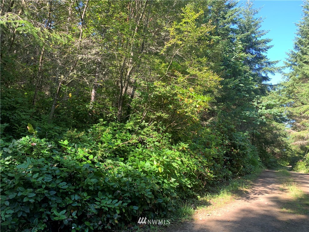 671 Hazel Point Road Quilcene, WA 98376 - Photo 6 of 29 Gallery Image 6
