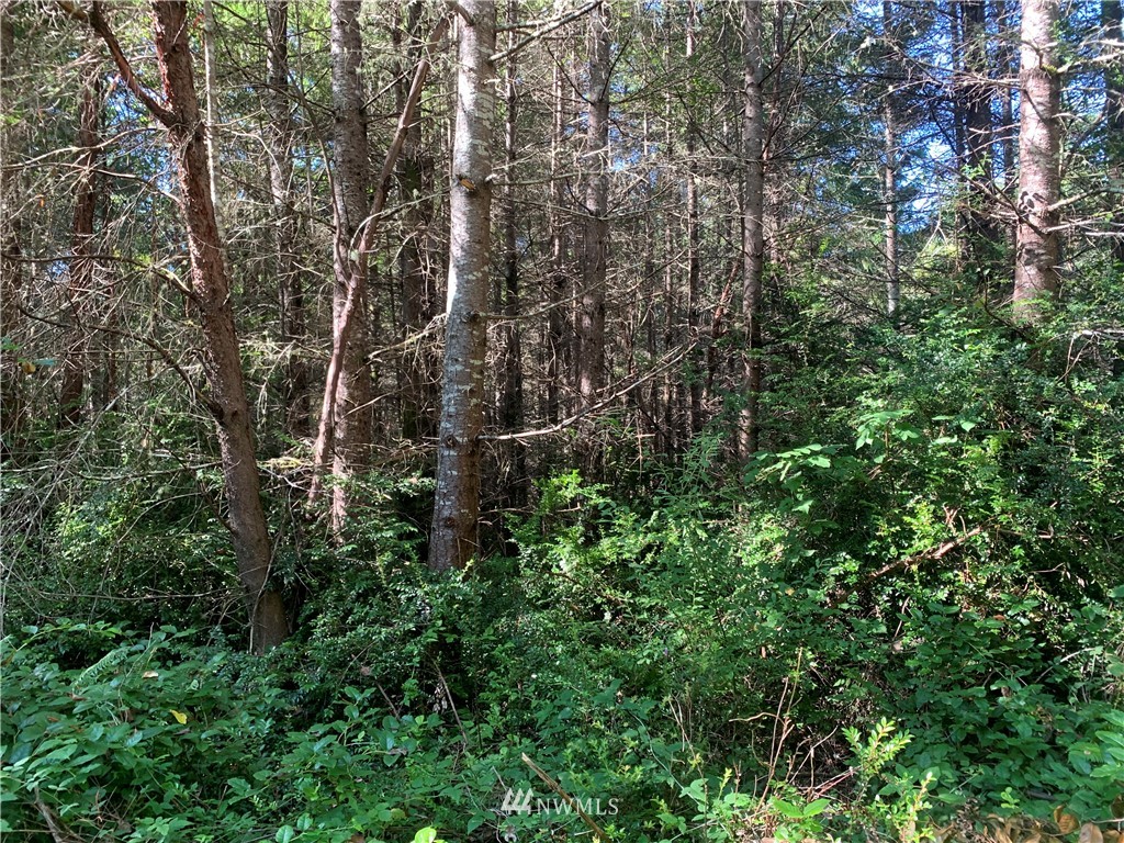 671 Hazel Point Road Quilcene, WA 98376 - Photo 7 of 29 Gallery Image 7