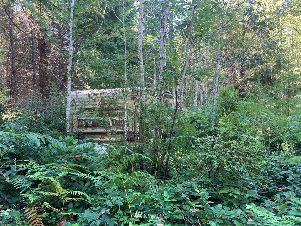 671 Hazel Point Road Quilcene, WA 98376 - Photo 8 of 29 Gallery Image 8