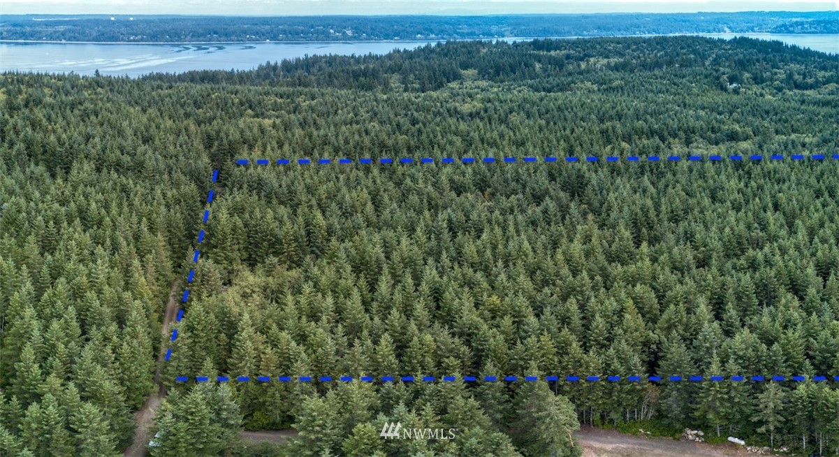 671 Hazel Point Road Quilcene, WA 98376 - Photo 10 of 29 Gallery Image 10