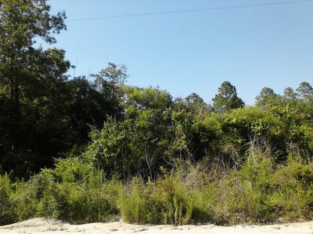 Lot 7 Harvest Road Nahunta, GA 31553 - Photo 1 of 1 Gallery Image 1