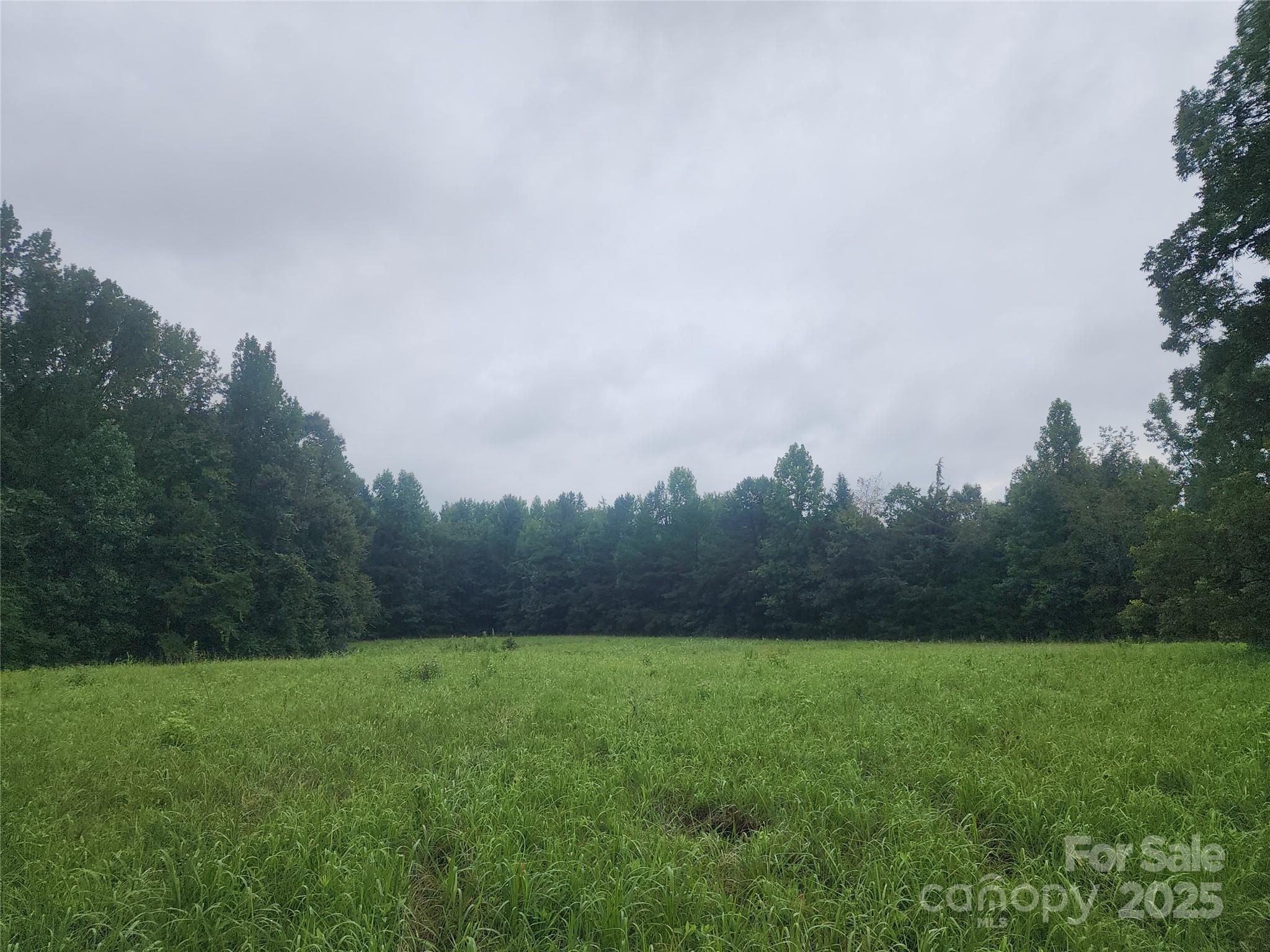 9113 Brief Road Mint Hill, NC 28227 - Photo 2 of 5 a view of a backyard