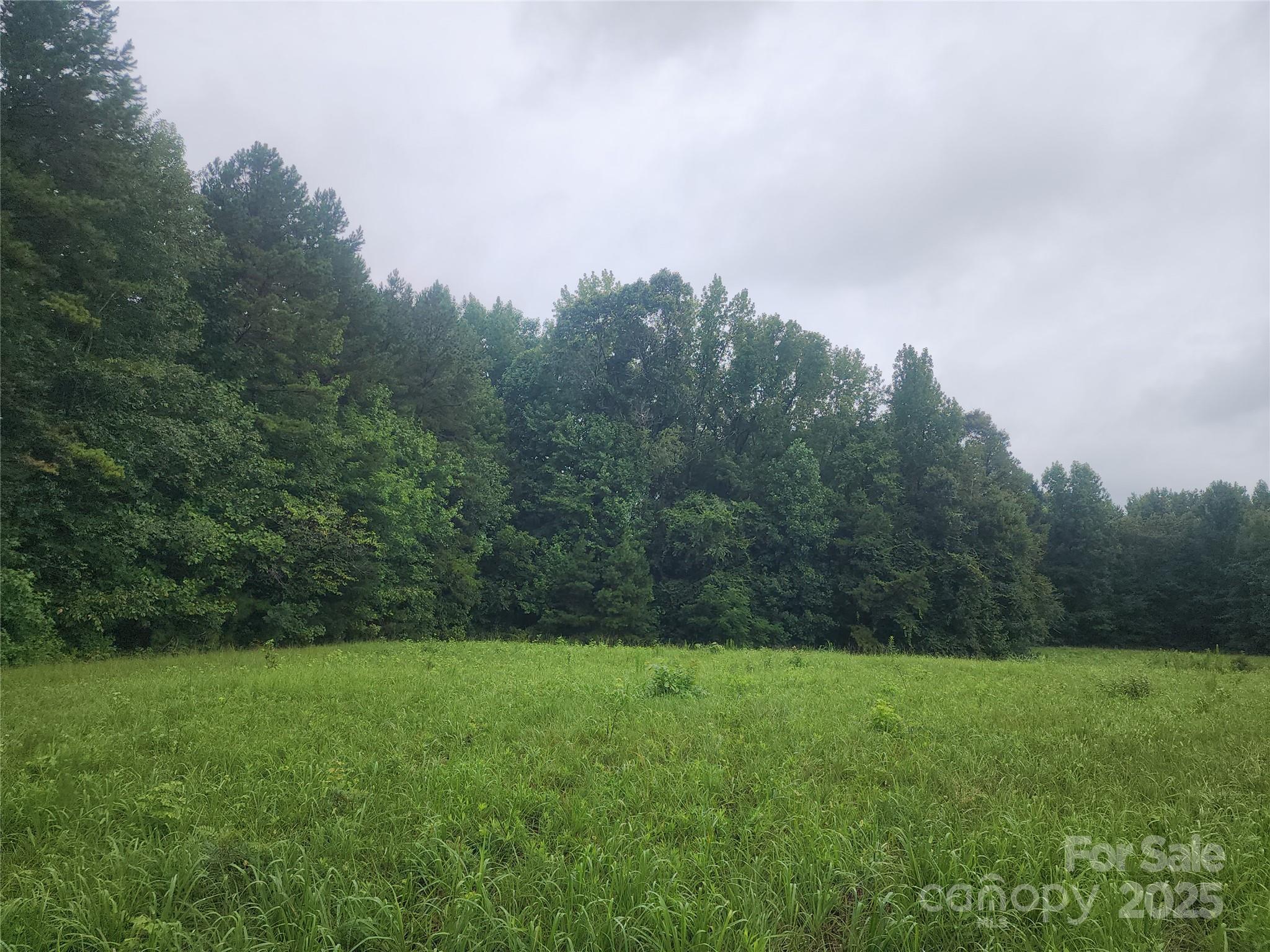 9113 Brief Road Mint Hill, NC 28227 - Photo 3 of 5 a view of a yard