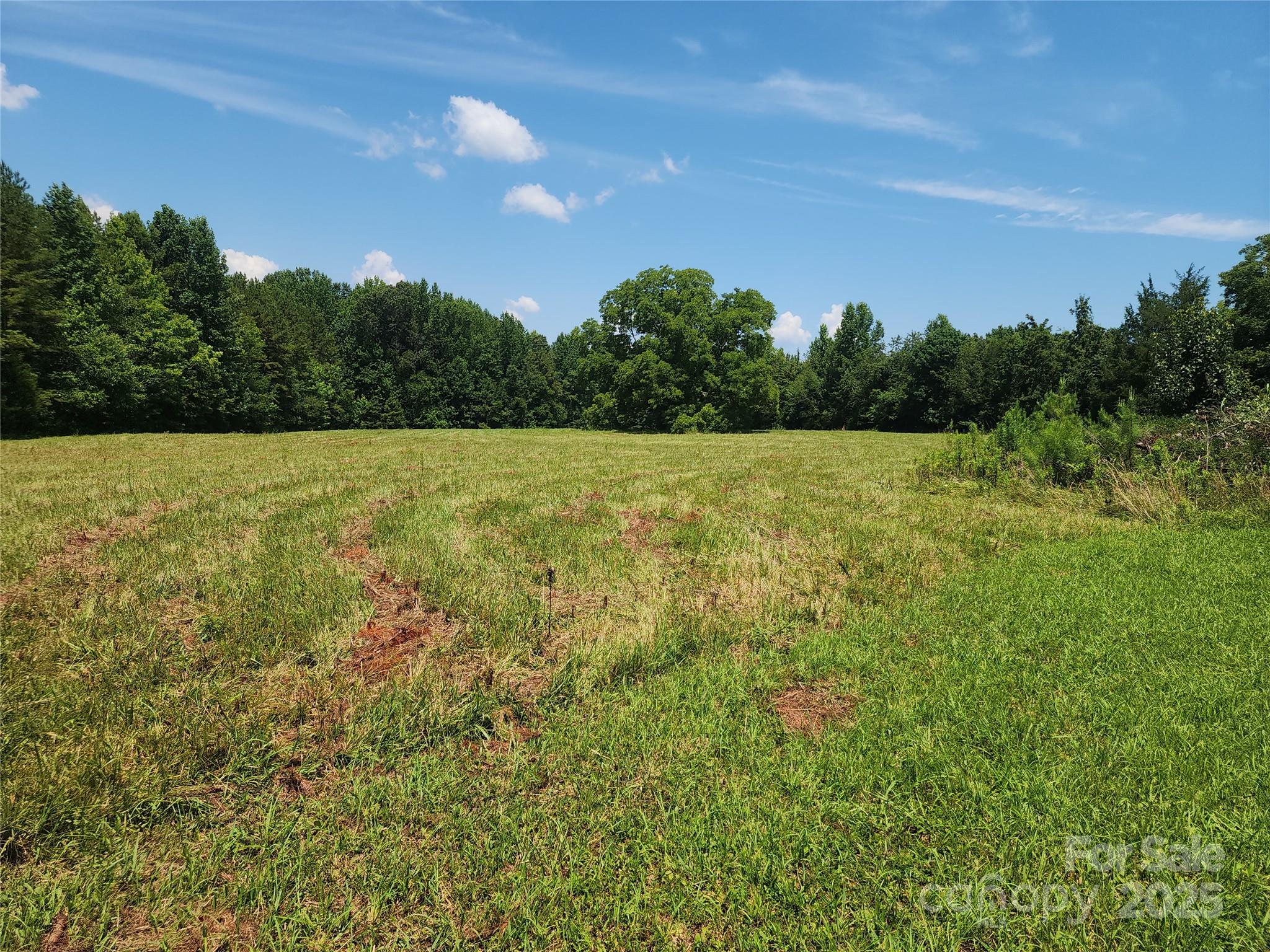 9113 Brief Road Mint Hill, NC 28227 - Photo 4 of 5 a view of a field with an ocean