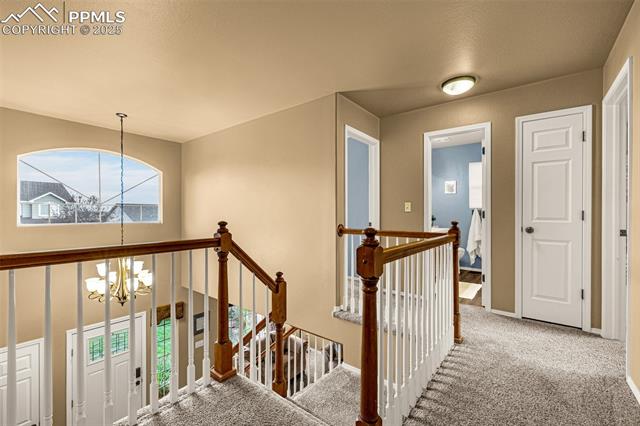 445 Talus Road Monument, CO 80132 - Photo 19 of 50