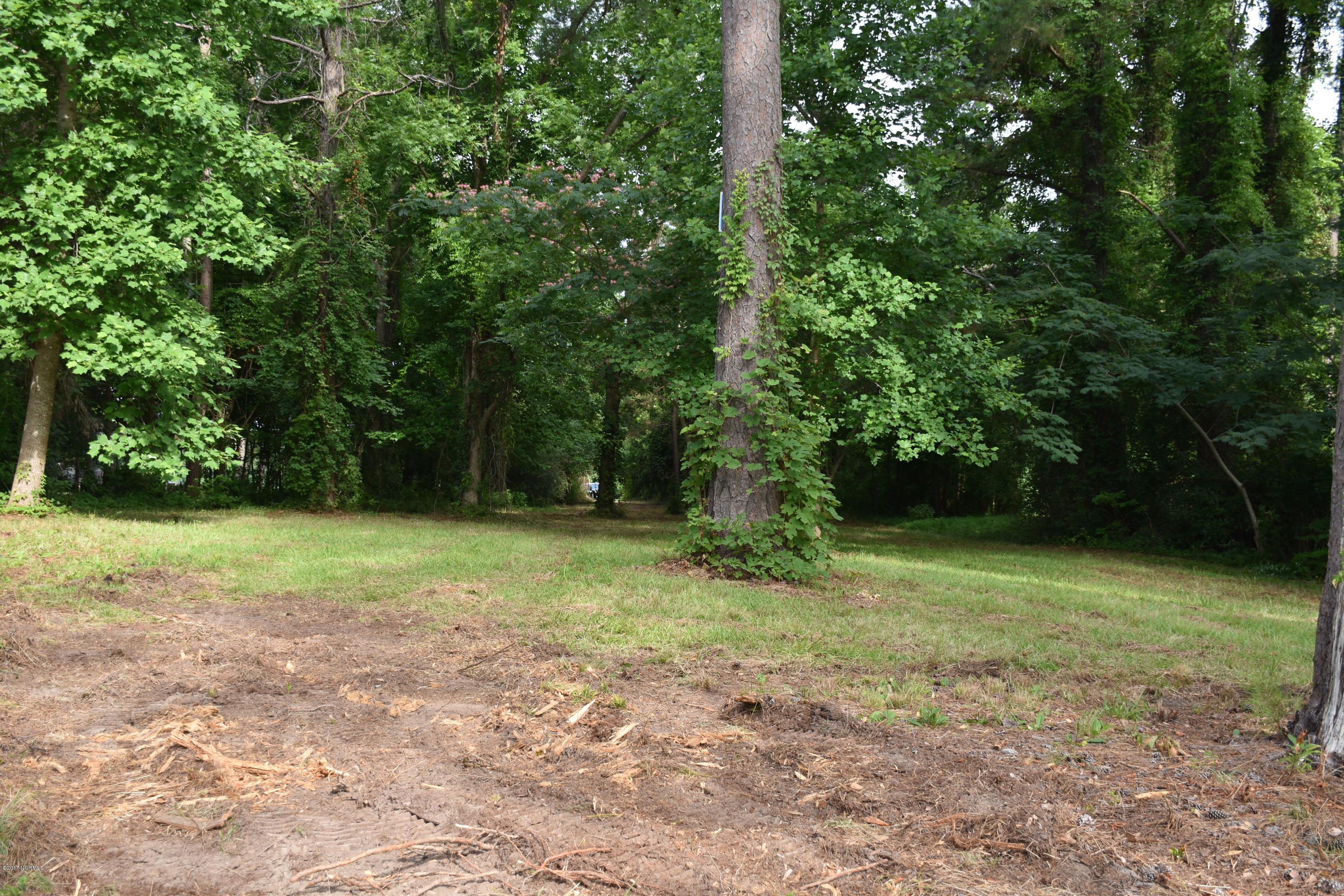 0 Off State Road Bath, NC 27808 - Photo 11 of 16 Rt side of Lot