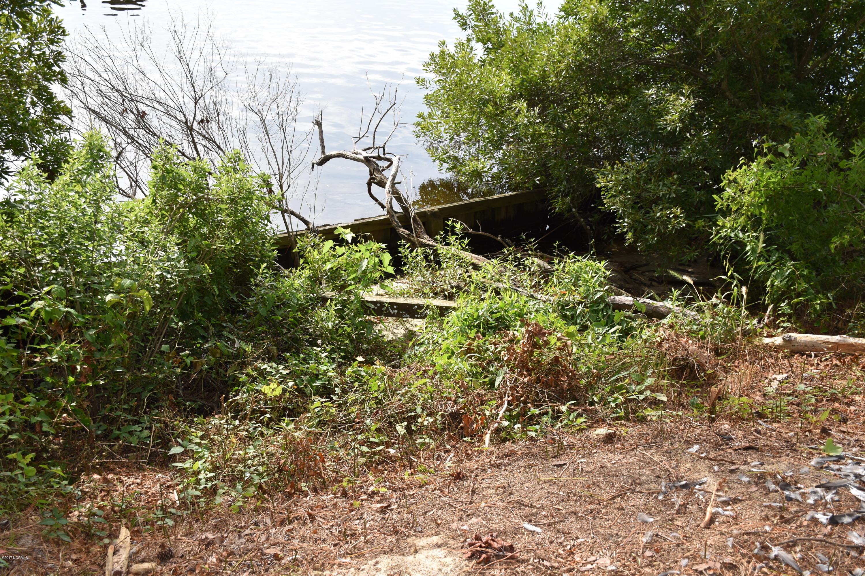 0 Off State Road Bath, NC 27808 - Photo 16 of 16 Bulkhead