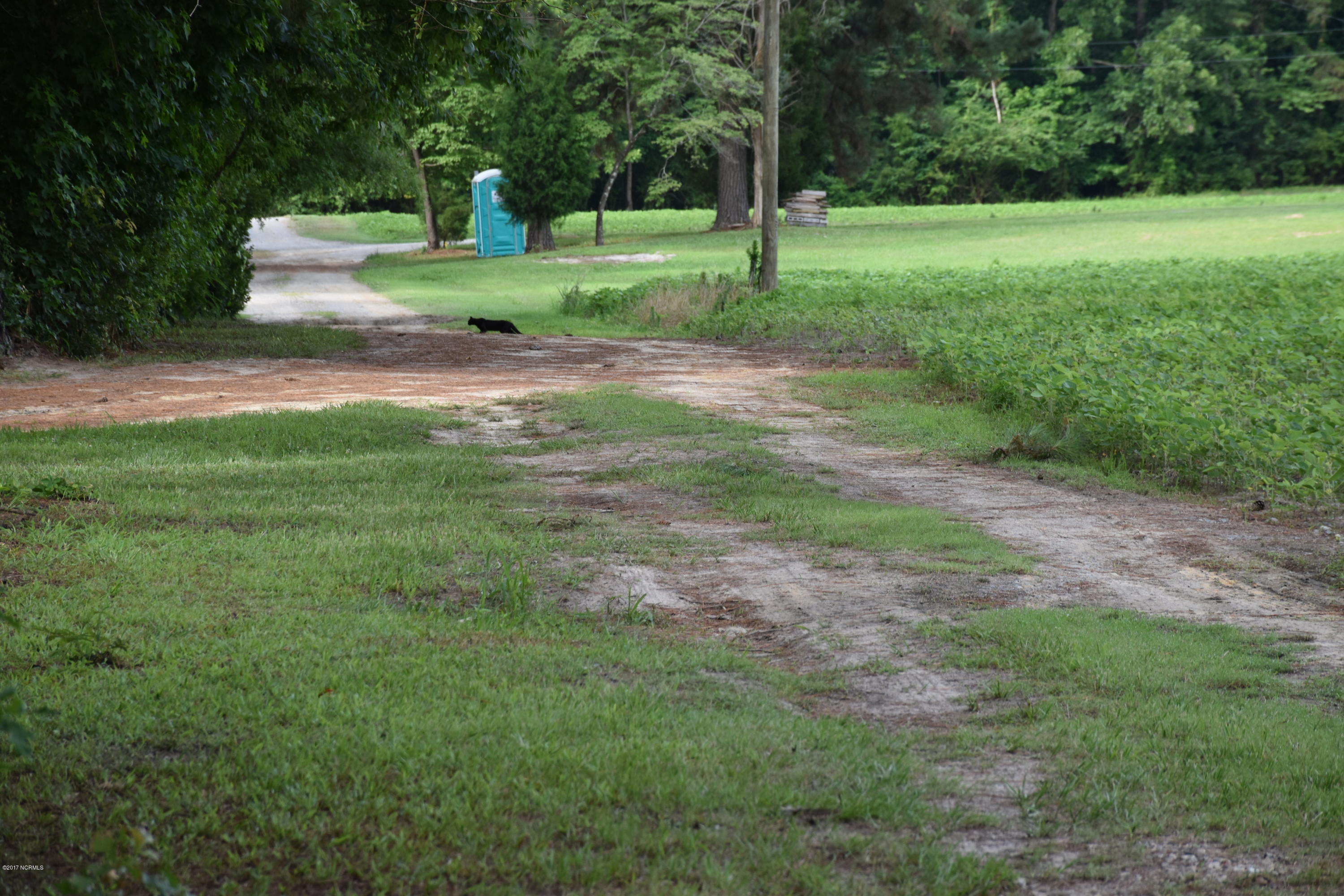 0 Off State Road Bath, NC 27808 - Photo 5 of 16 Looking from Lot: Dirt road to lot