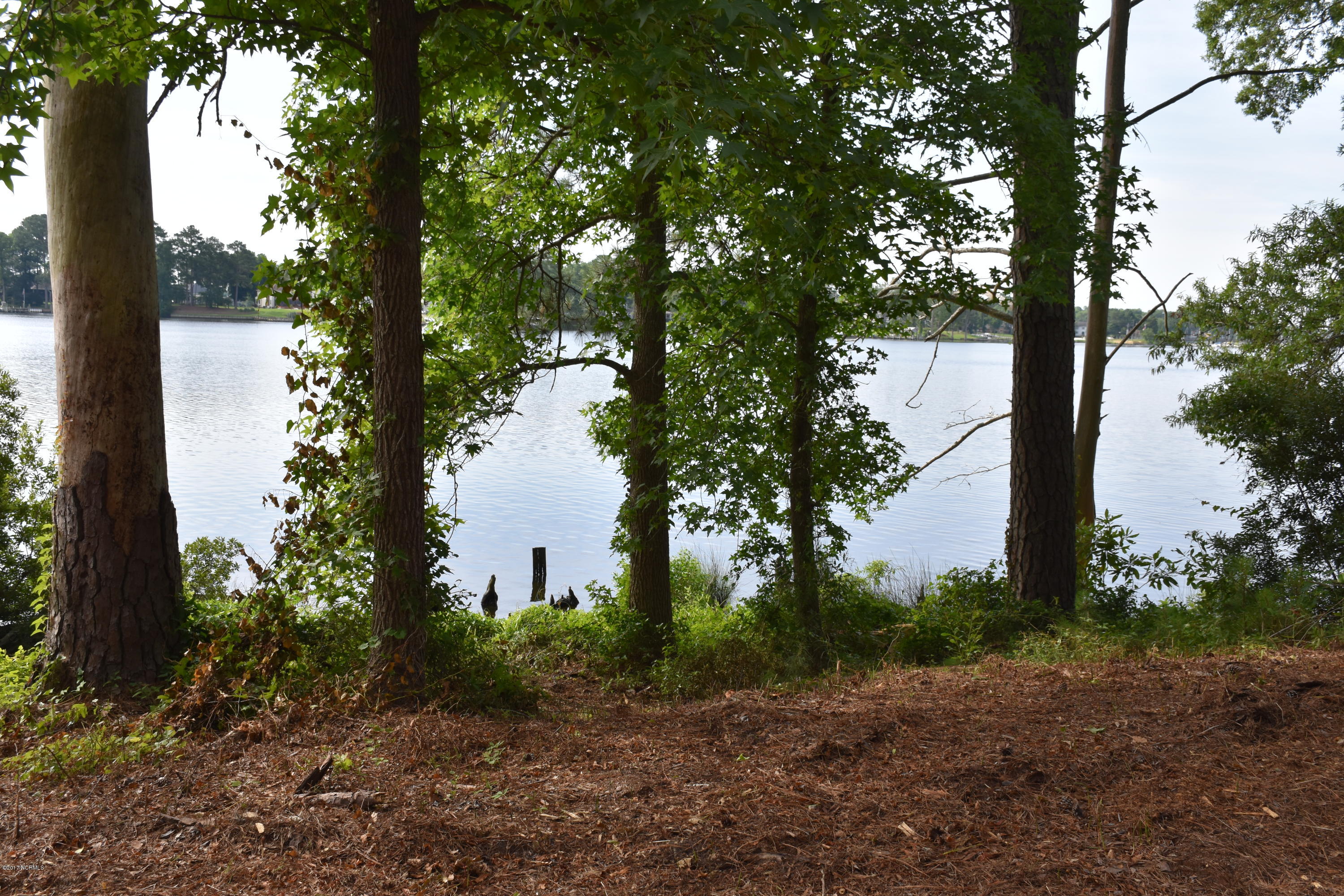 0 Off State Road Bath, NC 27808 - Photo 10 of 16 Bath Crrek