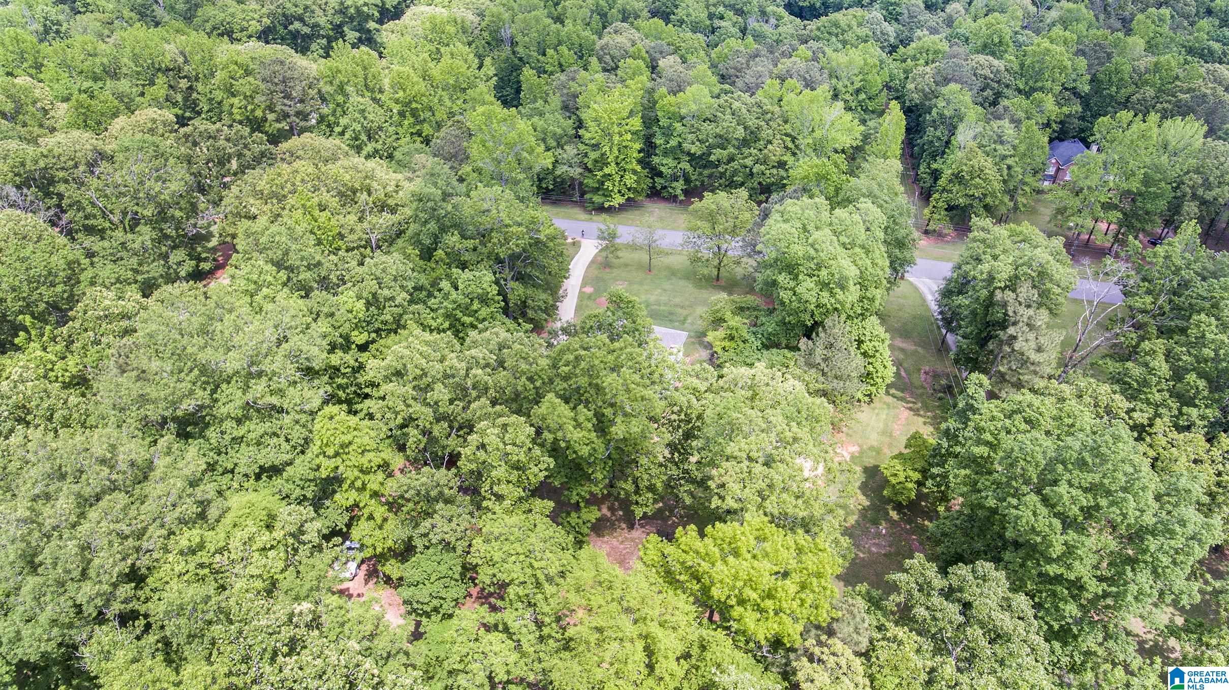 126 Chestnut Drive Alabaster, AL 35007 - Photo 45 of 47
