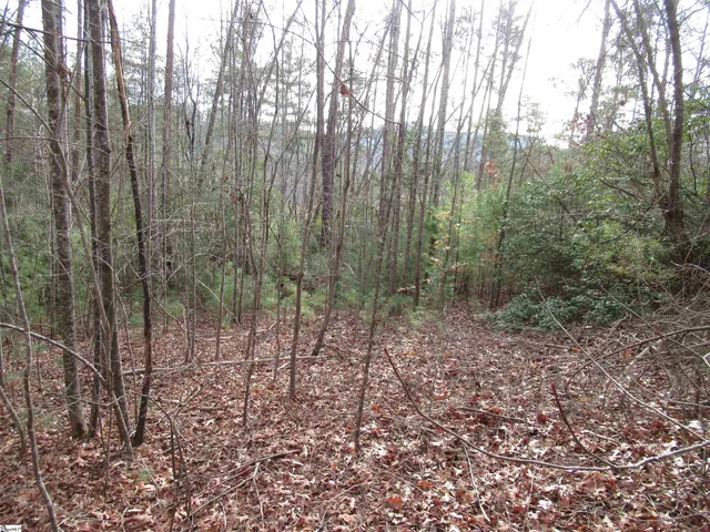 $20,000 | 116 Fireside Lane, Pickens, SC 29671