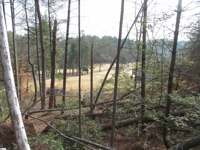 $20,000 | 116 Fireside Lane, Pickens, SC 29671