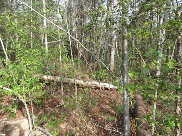 $20,000 | 116 Fireside Lane, Pickens, SC 29671