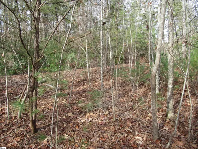 $20,000 | 116 Fireside Lane, Pickens, SC 29671