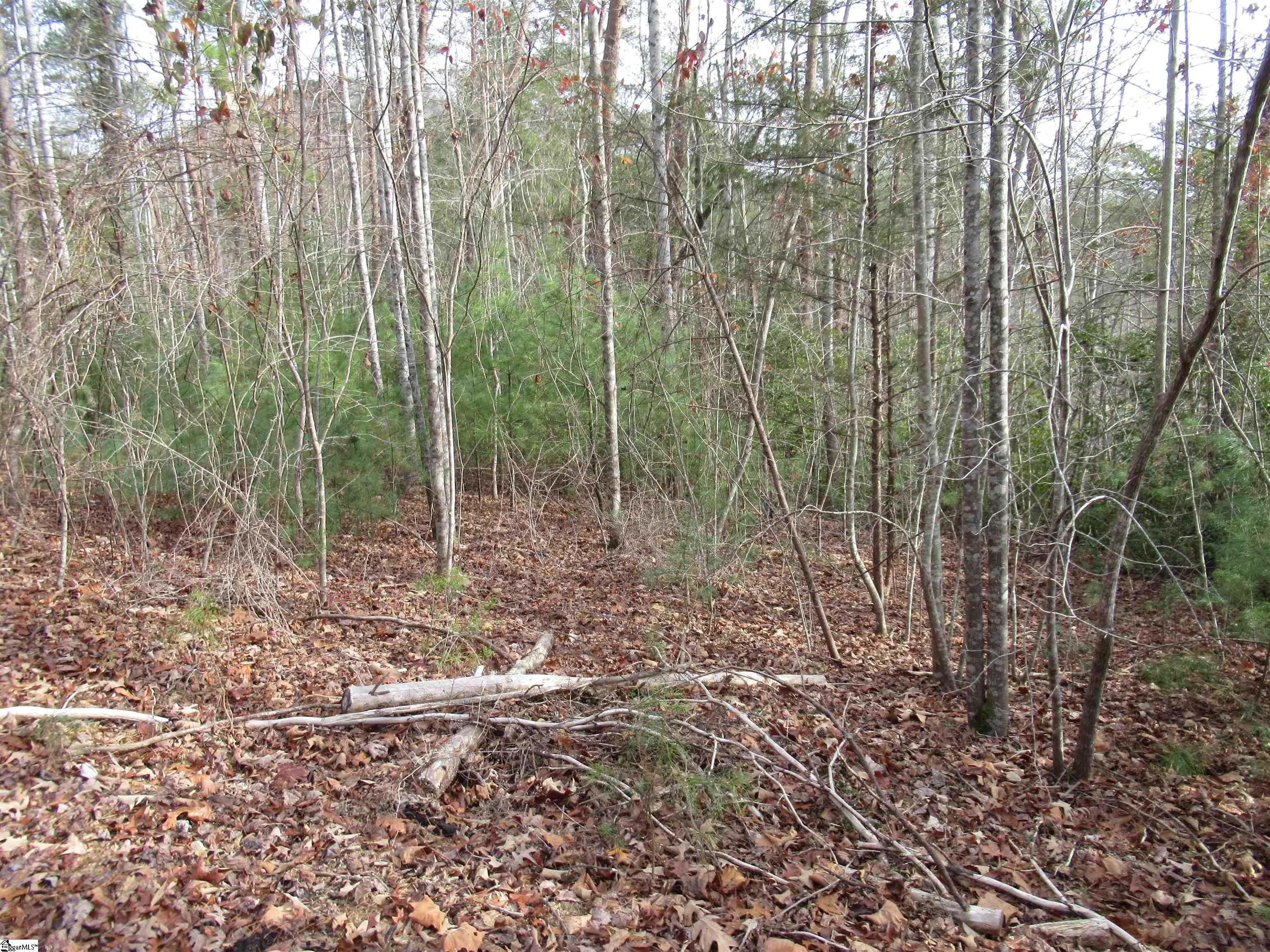 116 Fireside Lane Pickens, SC 29671 - Photo 17 of 31