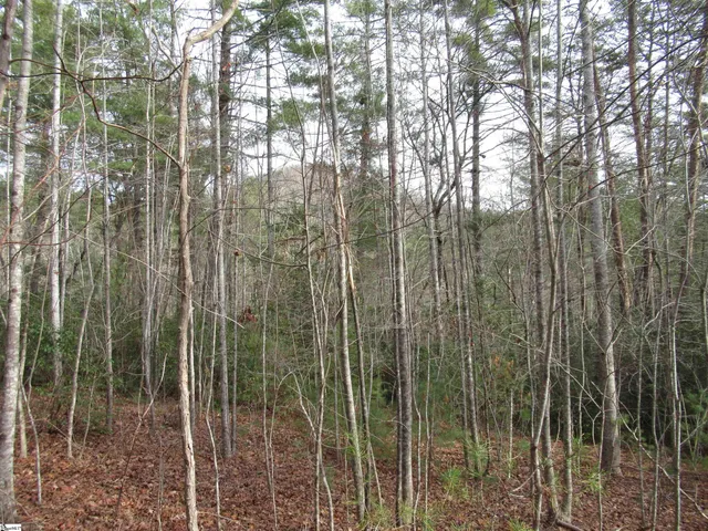 $20,000 | 116 Fireside Lane, Pickens, SC 29671