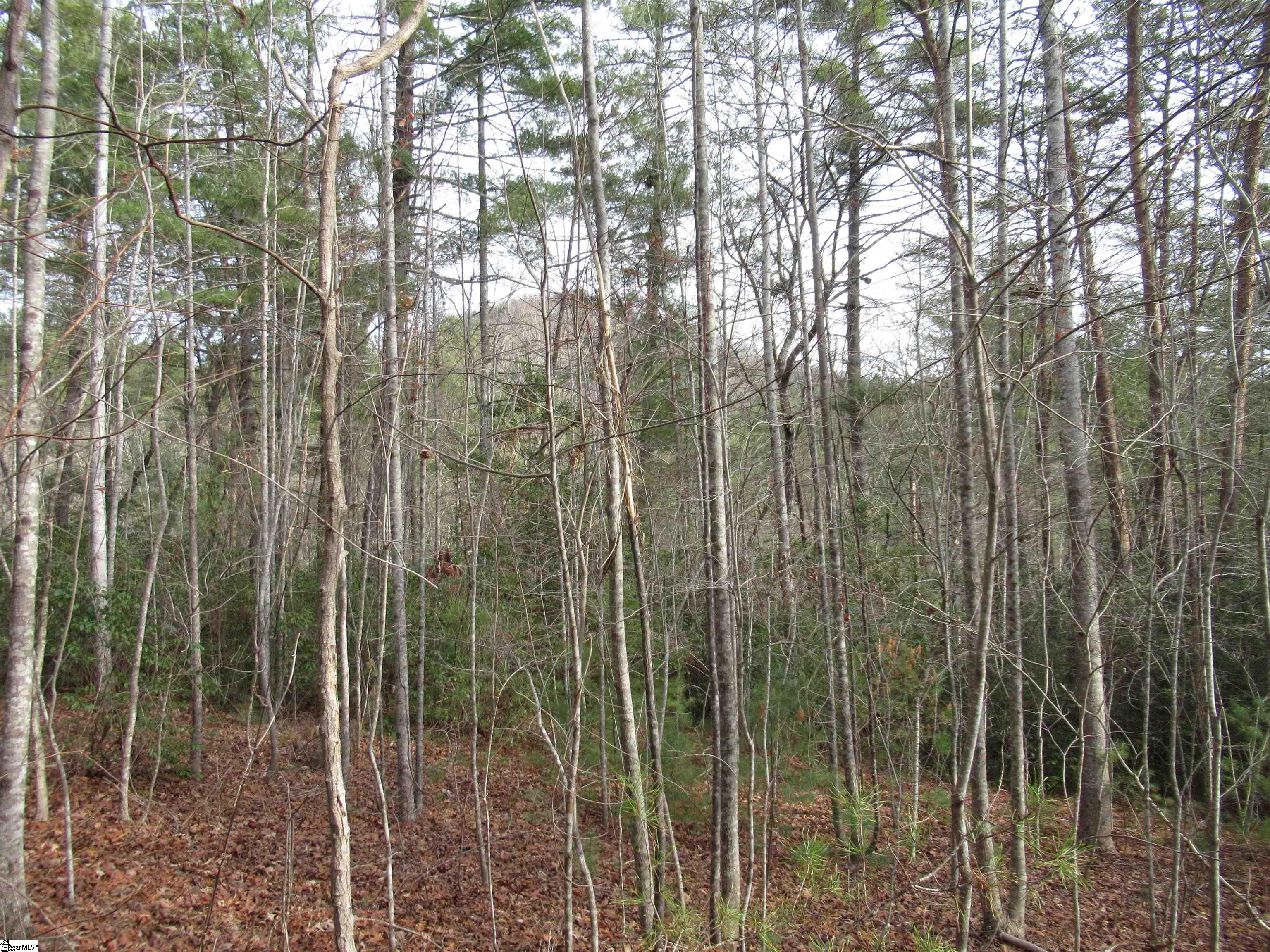 116 Fireside Lane Pickens, SC 29671 - Photo 2 of 31