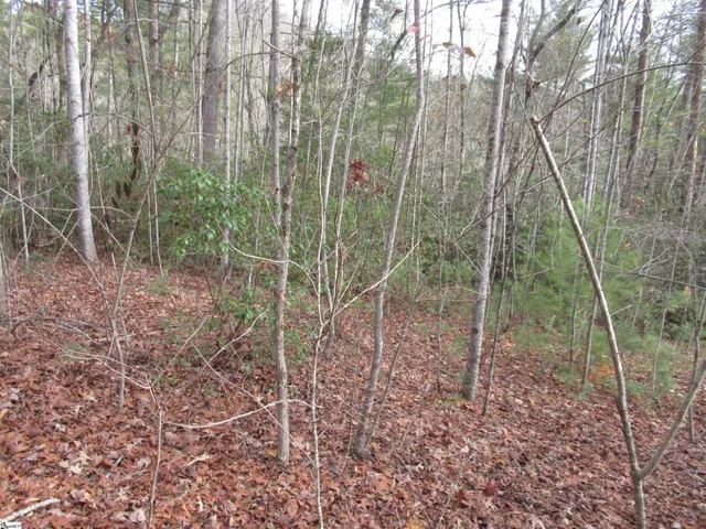 $20,000 | 116 Fireside Lane, Pickens, SC 29671