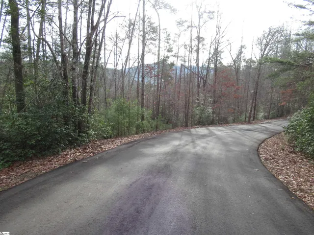 $20,000 | 116 Fireside Lane, Pickens, SC 29671