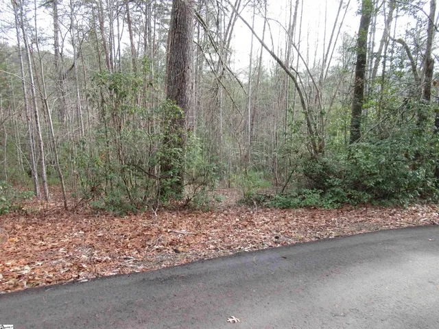 $20,000 | 116 Fireside Lane, Pickens, SC 29671